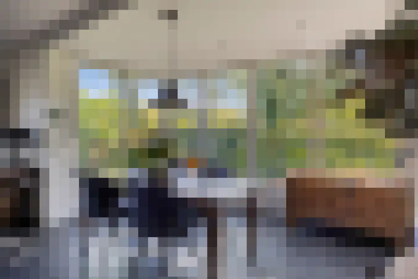 Kerkstraat 1 Elst thumbnail 14