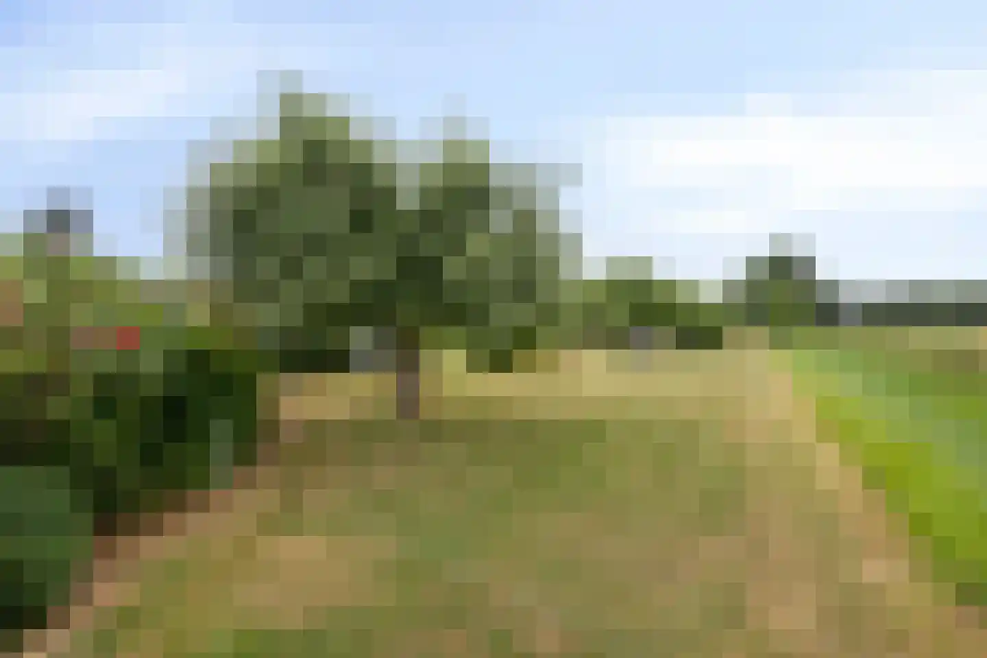 Kerkstraat 1 Elst thumbnail 25