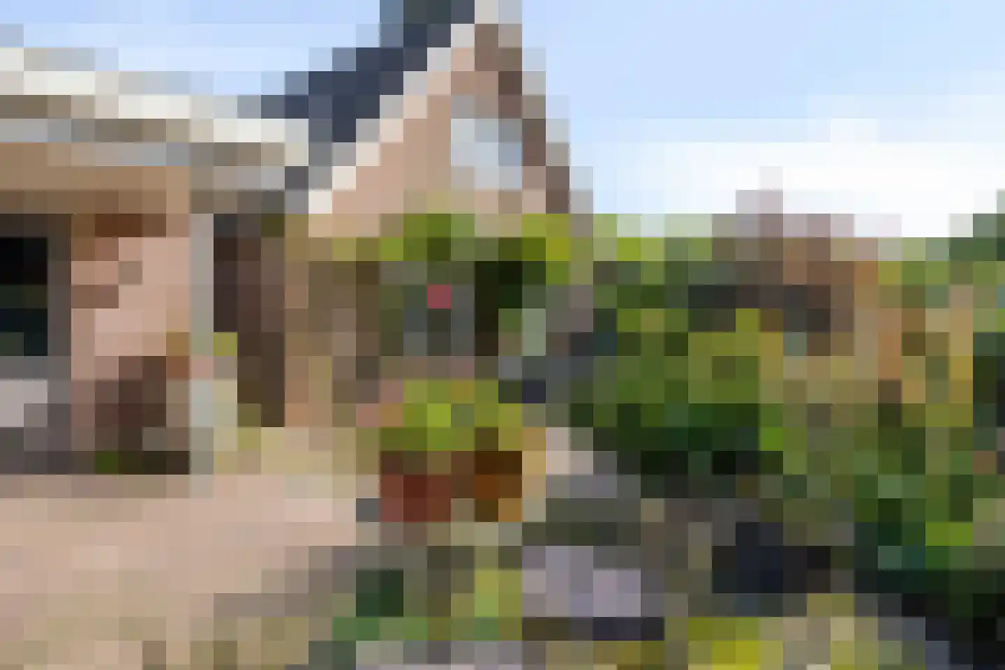 Kerkstraat 1 Elst thumbnail 29