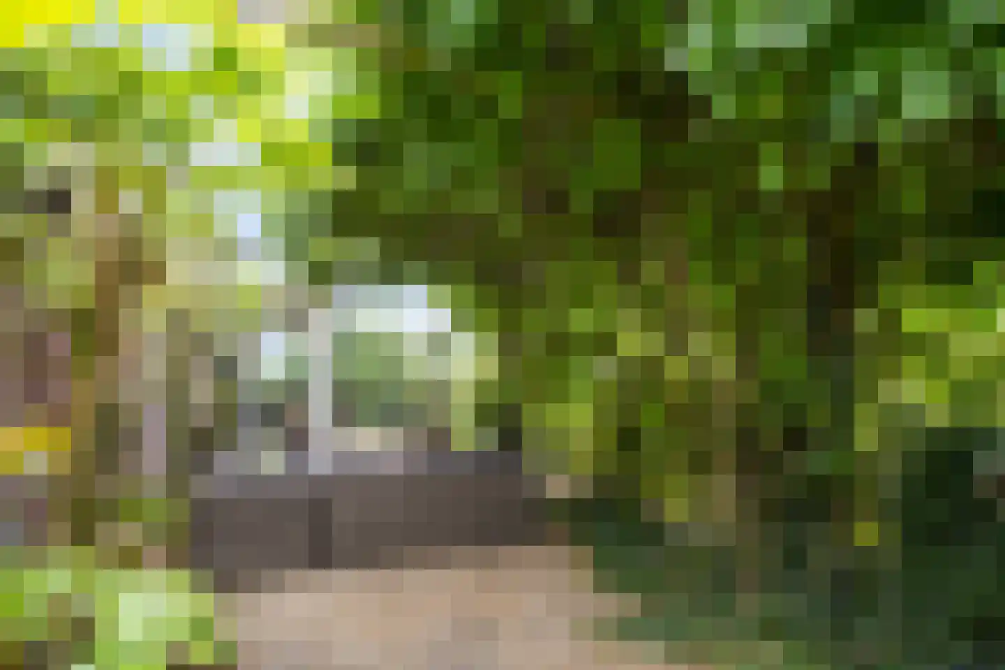 Kerkstraat 1 Elst thumbnail 30