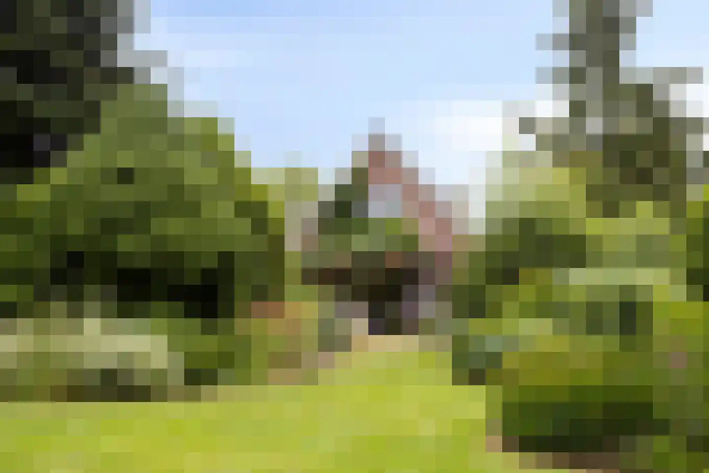 Kerkstraat 1 Elst thumbnail 32