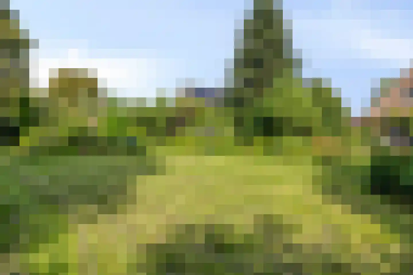 Kerkstraat 1 Elst thumbnail 32