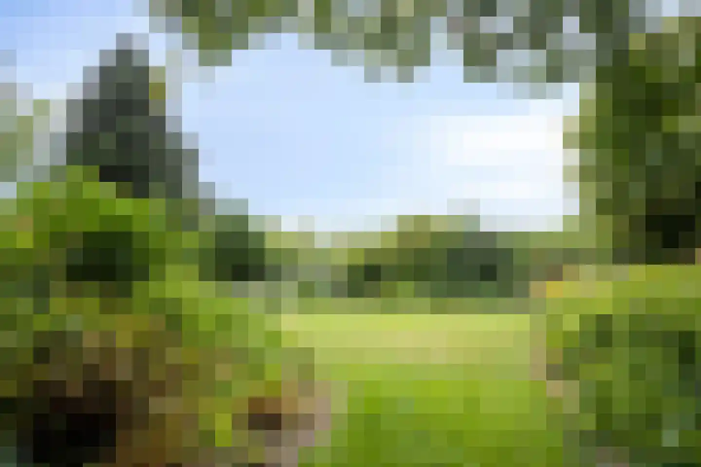 Kerkstraat 1 Elst thumbnail 33