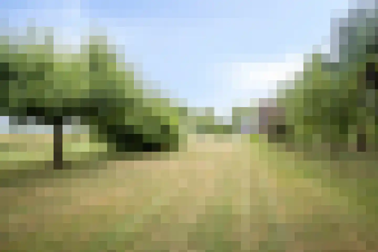 Kerkstraat 1 Elst thumbnail 34