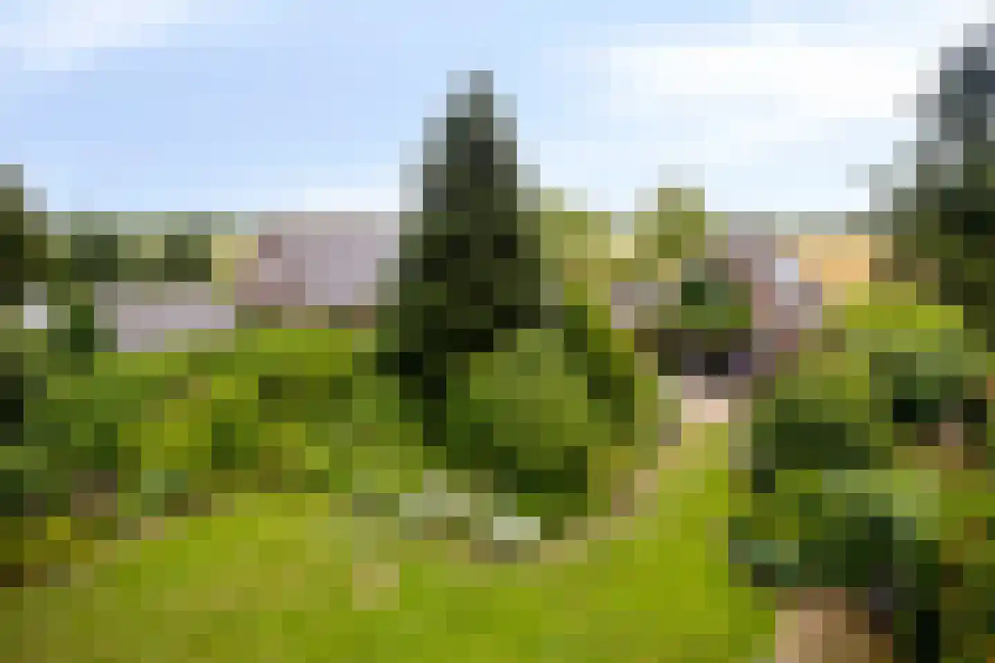 Kerkstraat 1 Elst thumbnail 38