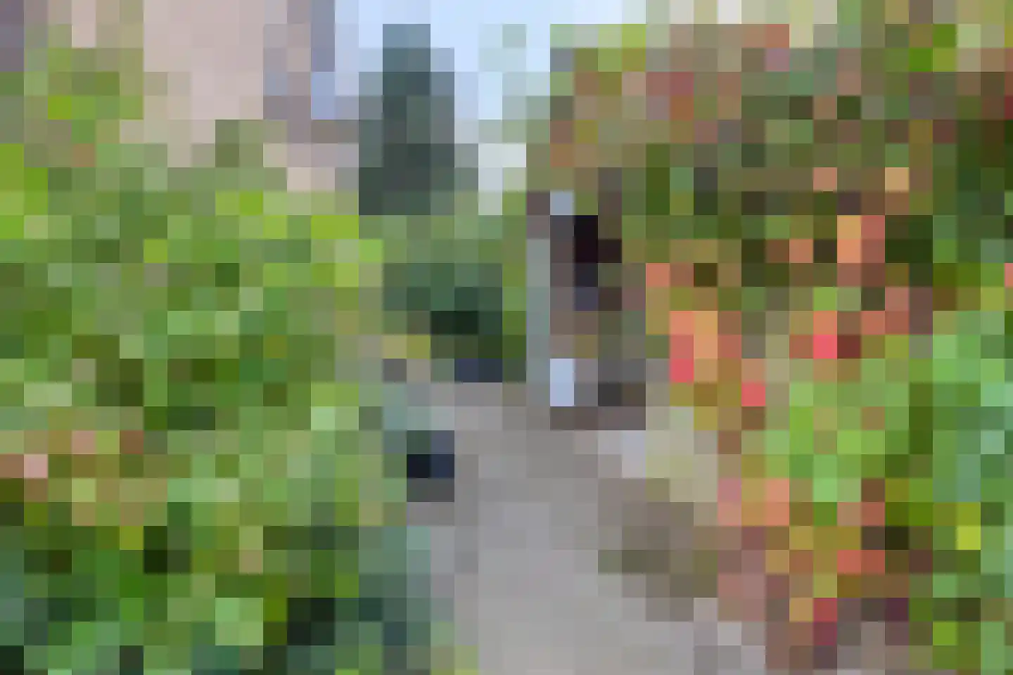 Kerkstraat 1 Elst thumbnail 38