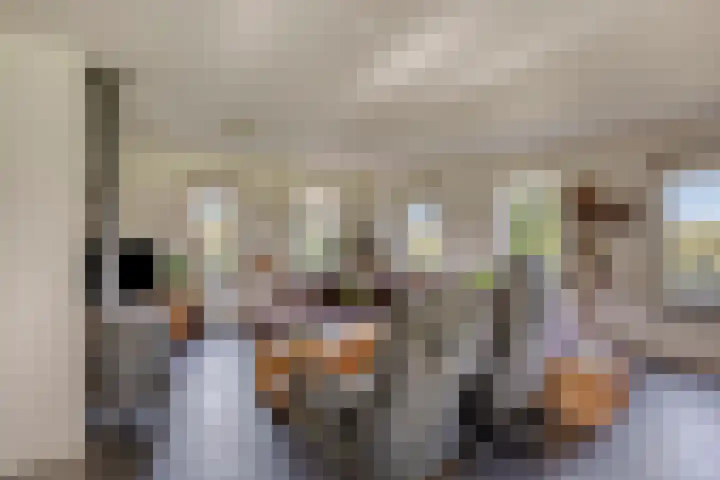 Kerkstraat 1 Elst thumbnail 9