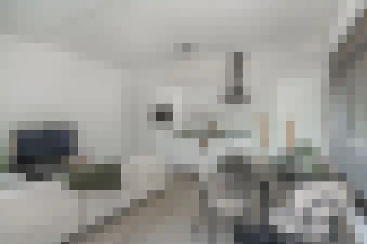 Kerkstraat 1 f Heeswijk-Dinther thumbnail 6