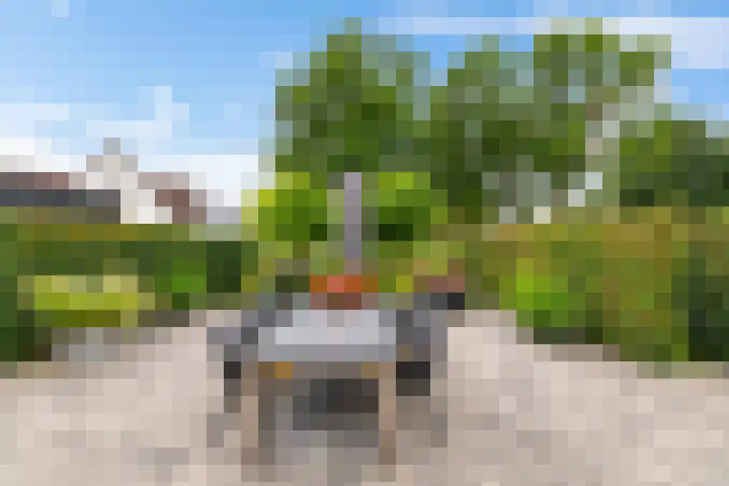 Kerkstraat 1 Gasselte thumbnail 18