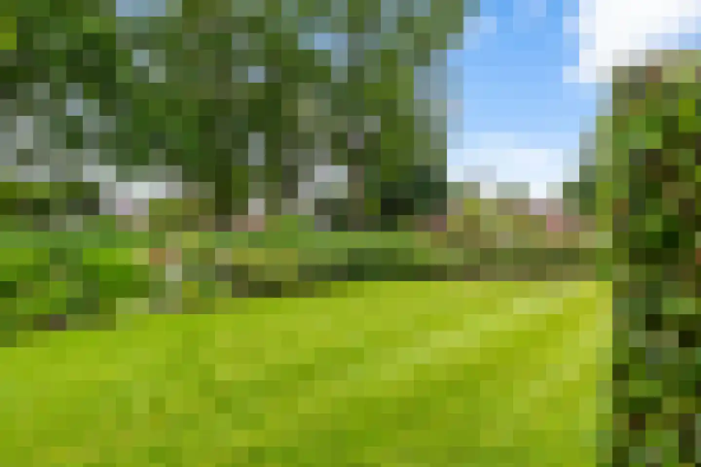 Kerkstraat 1 Gasselte thumbnail 22