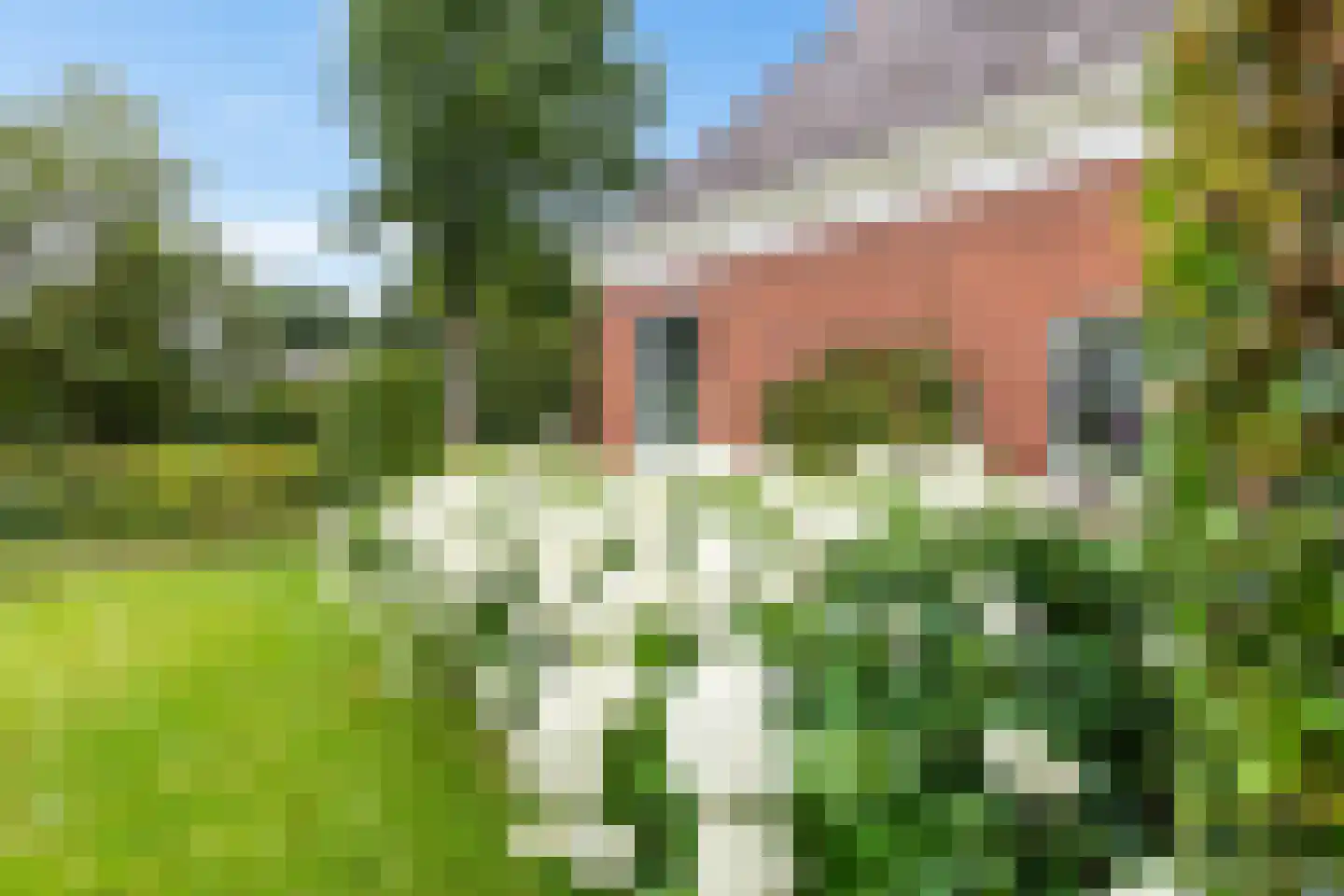 Kerkstraat 1 Gasselte thumbnail 23