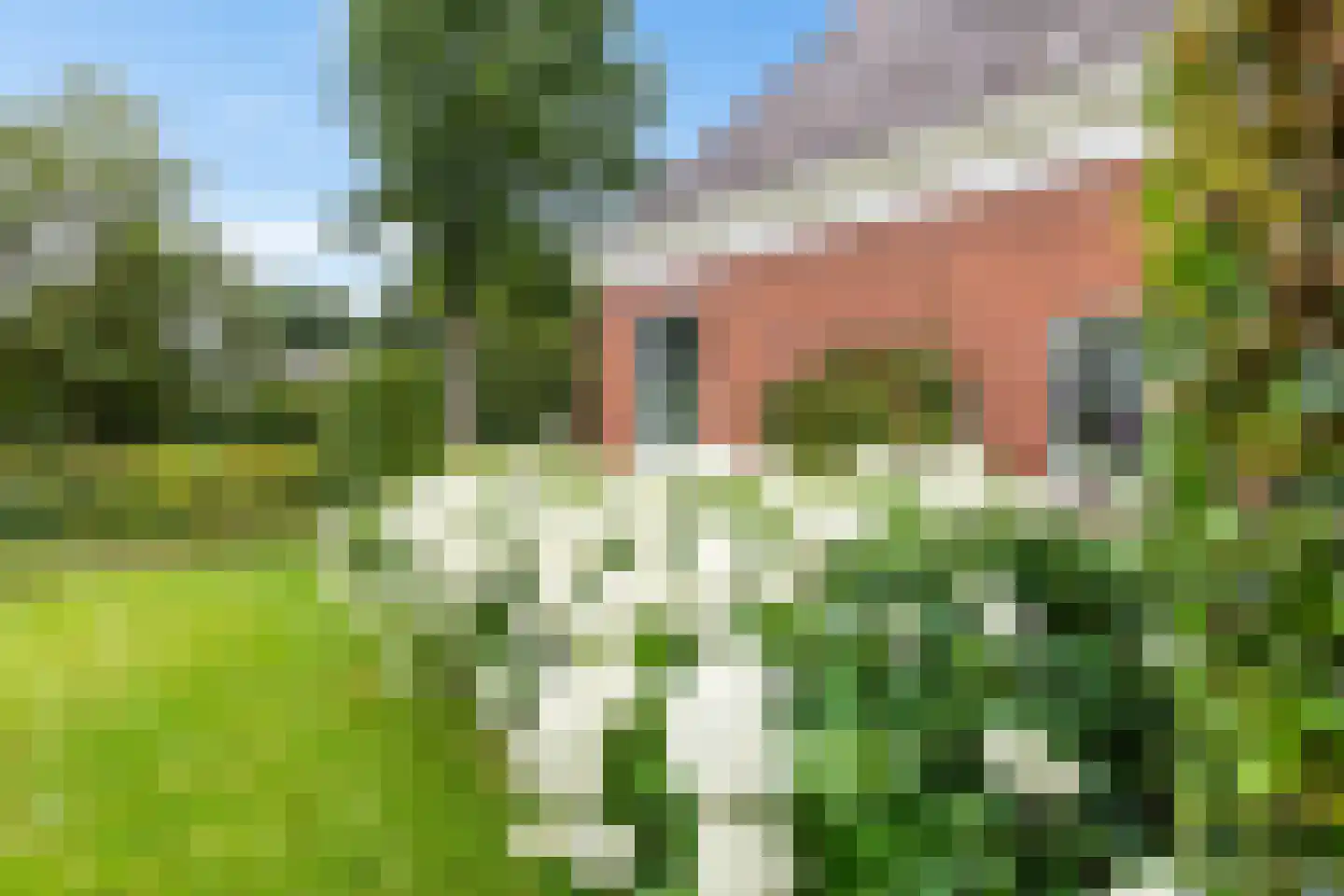 Kerkstraat 1 Gasselte thumbnail 24