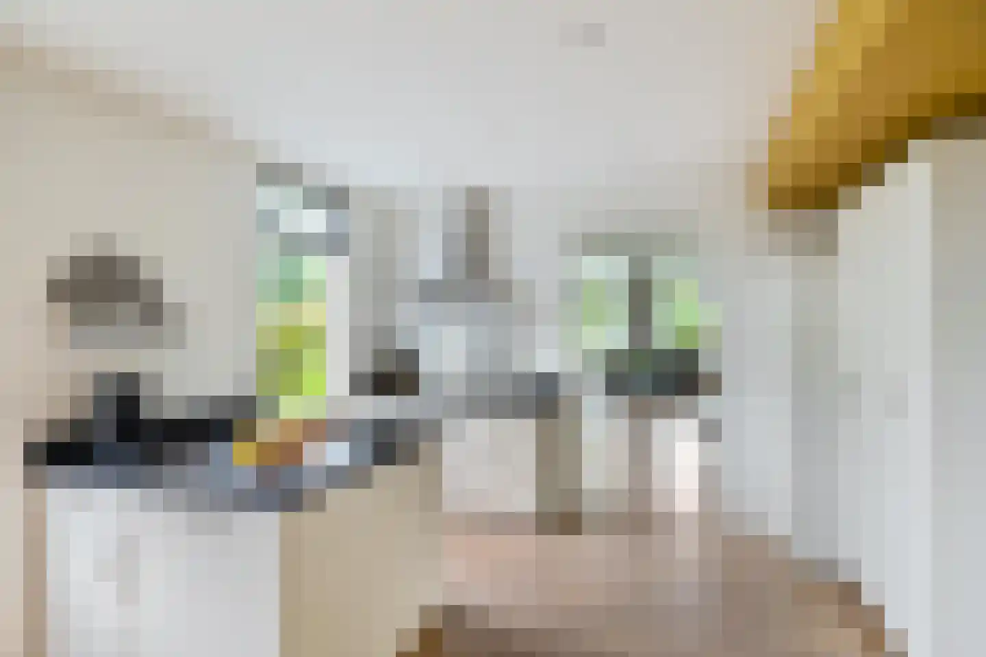 Kerkstraat 1 Gasselte thumbnail 33