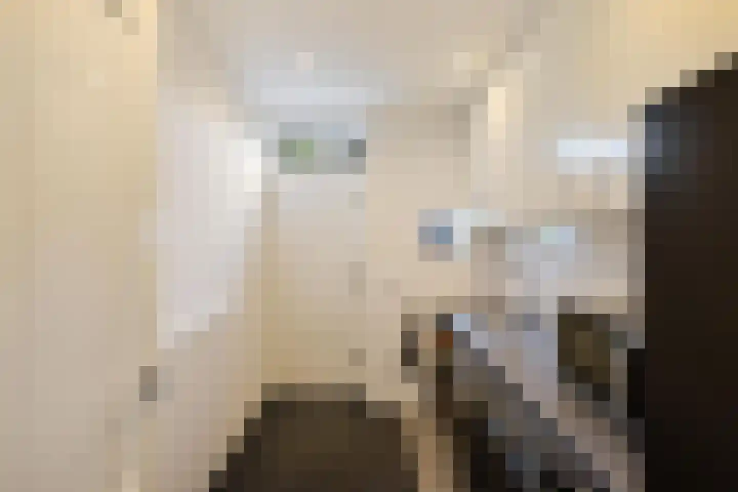 Kerkstraat 1 Gasselte thumbnail 42