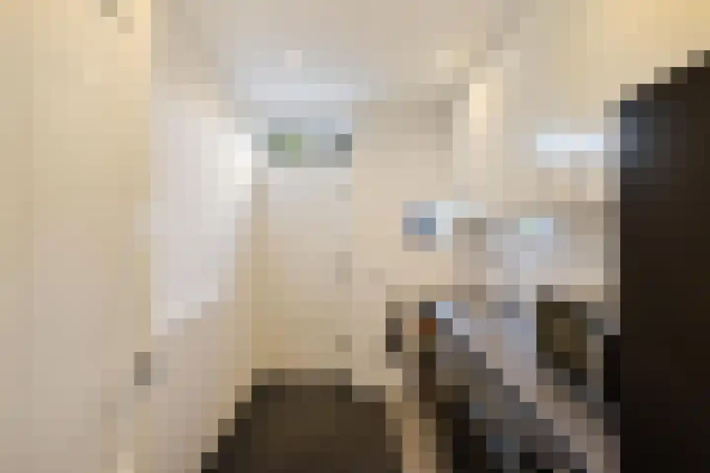 Kerkstraat 1 Gasselte thumbnail 43