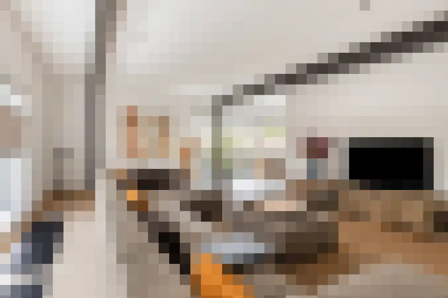 Kerkstraat 1 Grijpskerke thumbnail 11