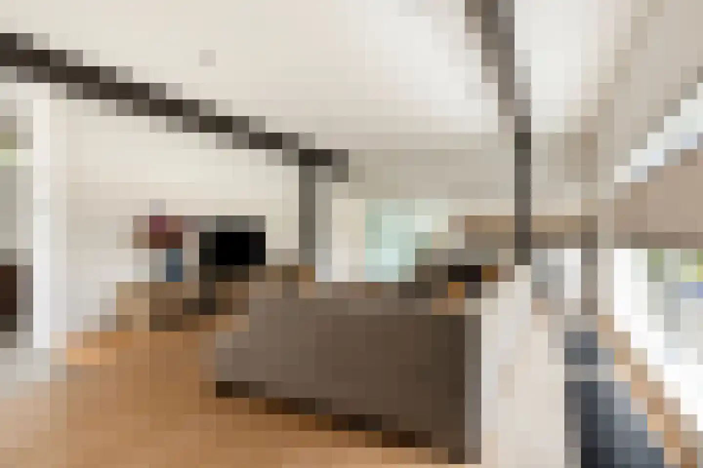 Kerkstraat 1 Grijpskerke thumbnail 12