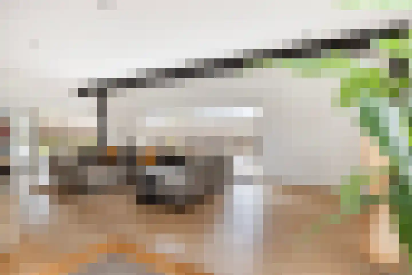 Kerkstraat 1 Grijpskerke thumbnail 17