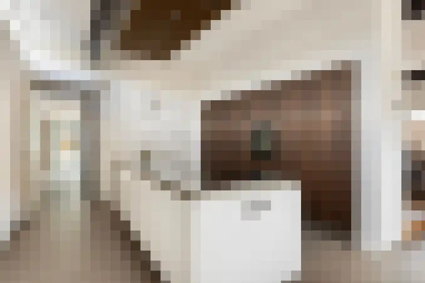 Kerkstraat 1 Grijpskerke thumbnail 23
