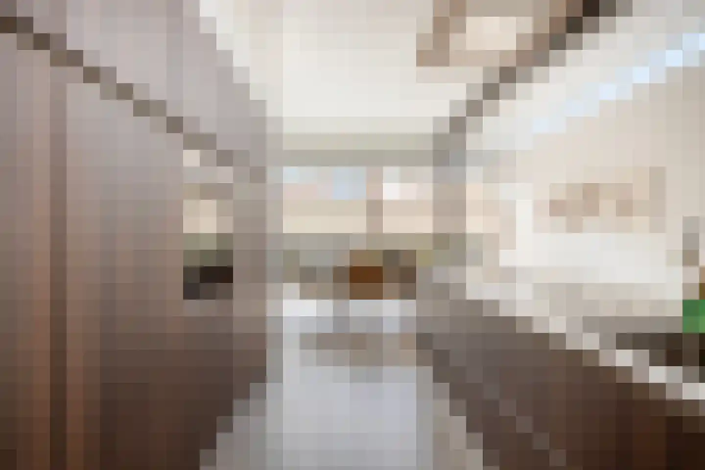 Kerkstraat 1 Grijpskerke thumbnail 25