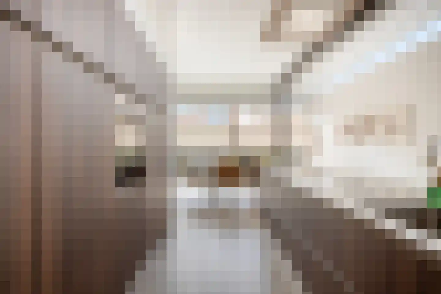 Kerkstraat 1 Grijpskerke thumbnail 26