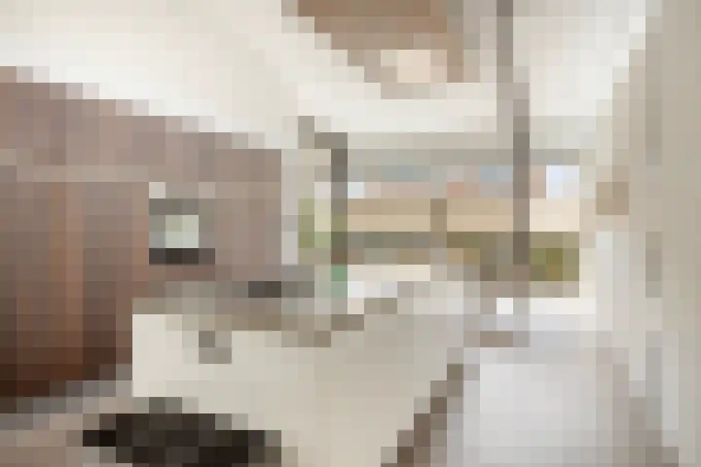 Kerkstraat 1 Grijpskerke thumbnail 26