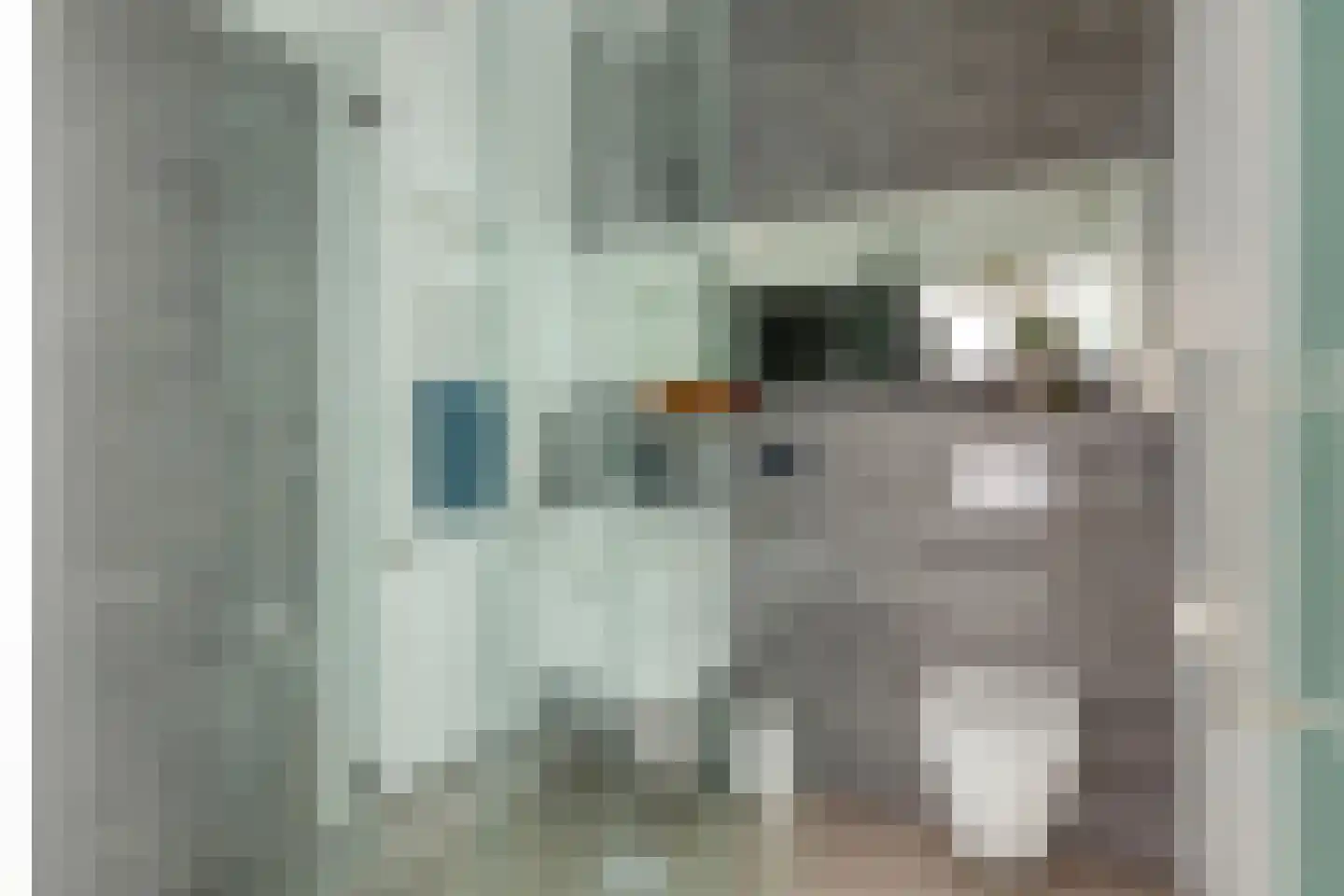 Kerkstraat 1 Grijpskerke thumbnail 41