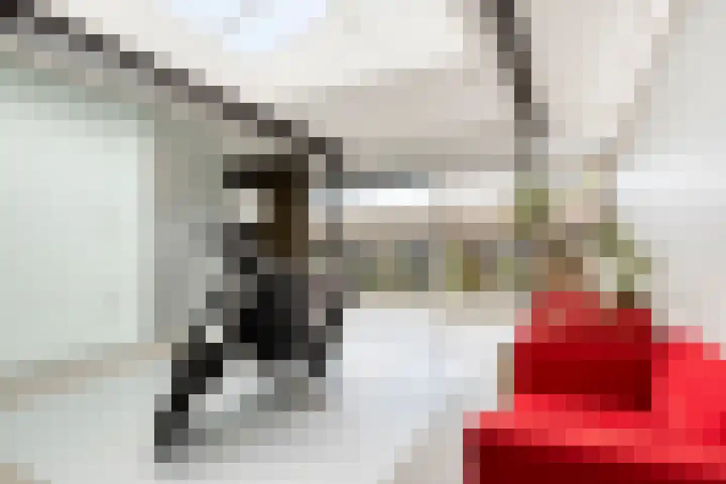 Kerkstraat 1 Grijpskerke thumbnail 43
