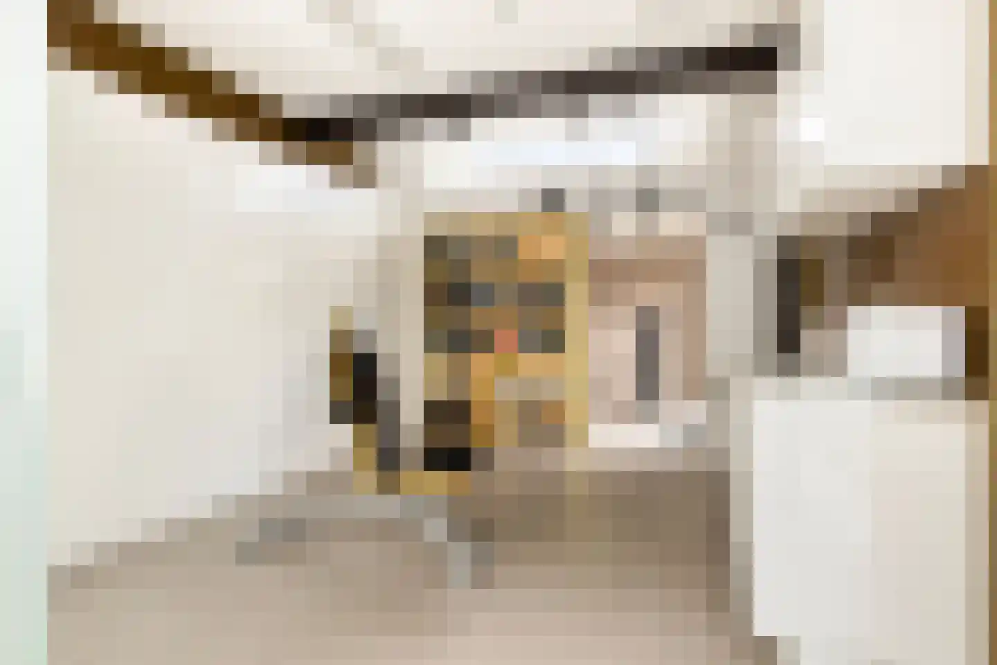 Kerkstraat 1 Grijpskerke thumbnail 48