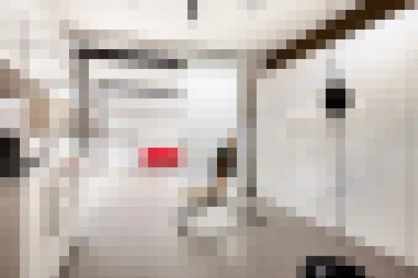 Kerkstraat 1 Grijpskerke thumbnail 49