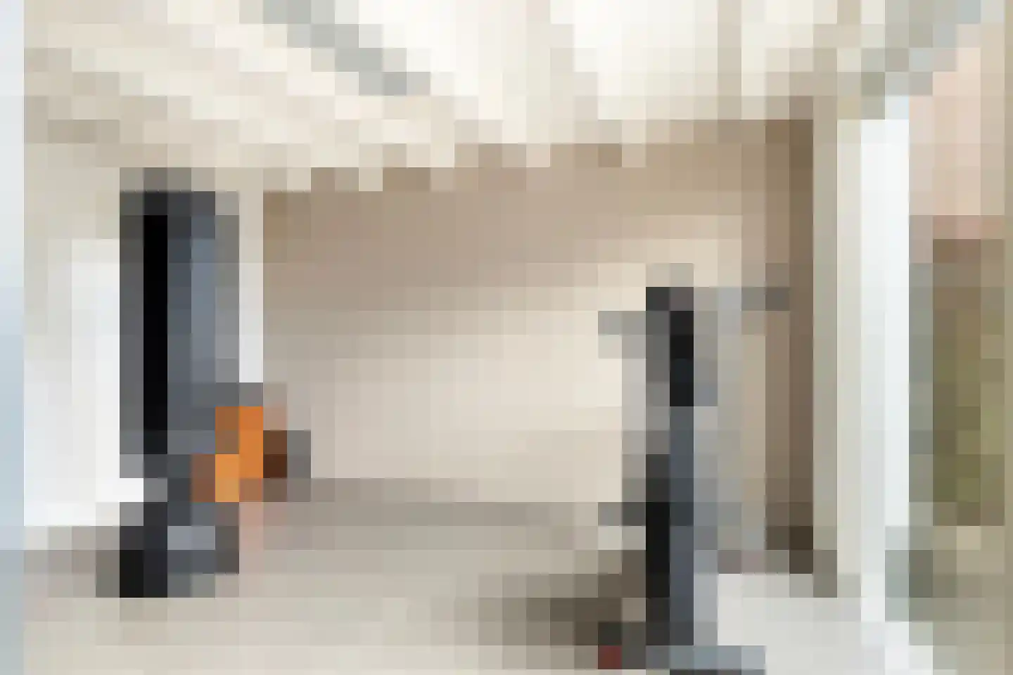 Kerkstraat 1 Grijpskerke thumbnail 50