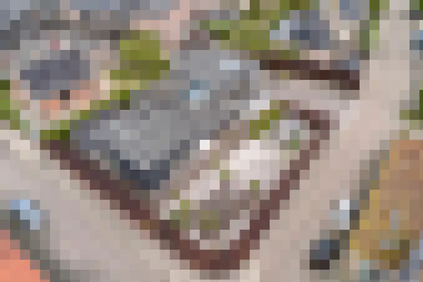 Kerkstraat 1 Grijpskerke thumbnail 69