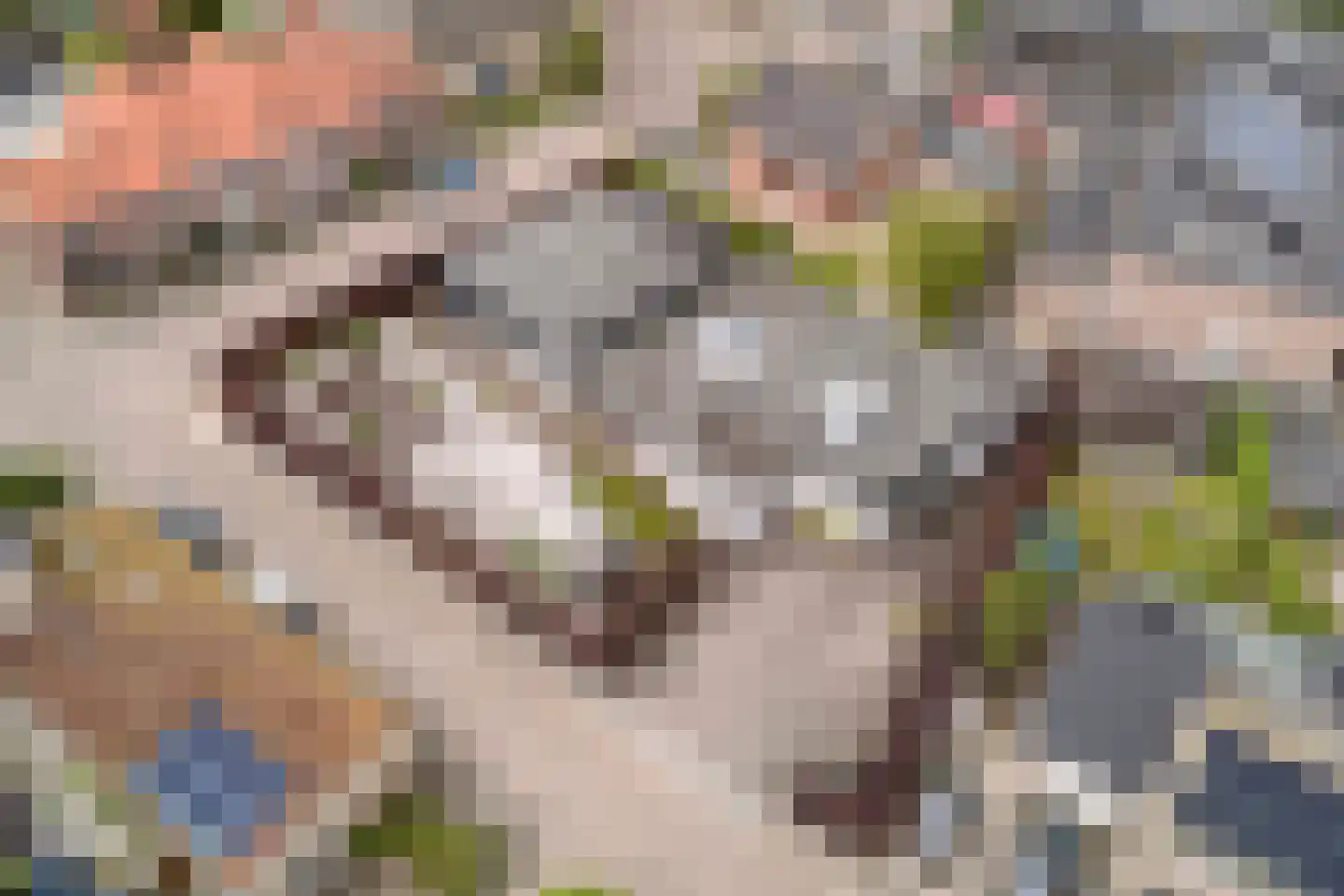 Kerkstraat 1 Grijpskerke thumbnail 70