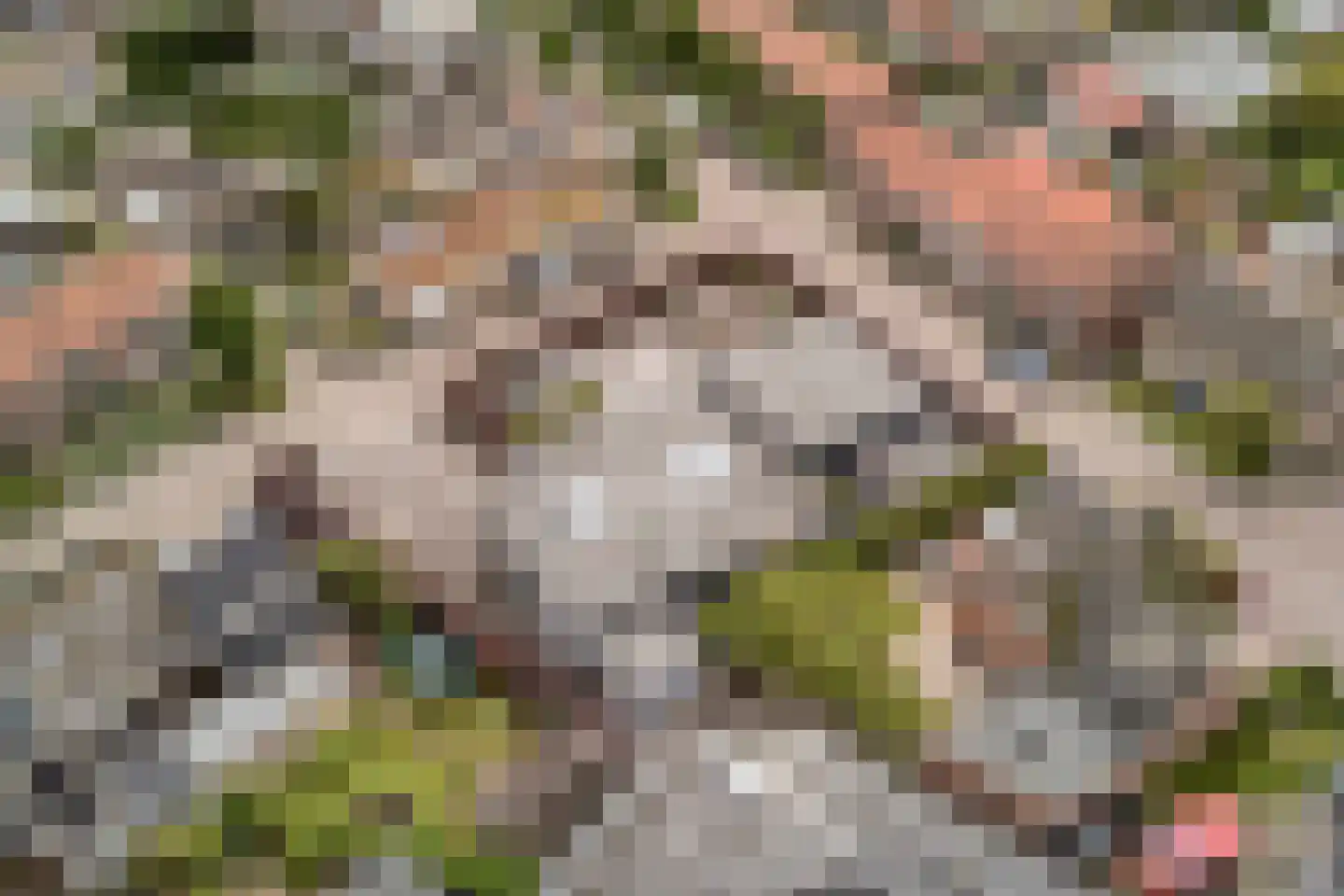 Kerkstraat 1 Grijpskerke thumbnail 71