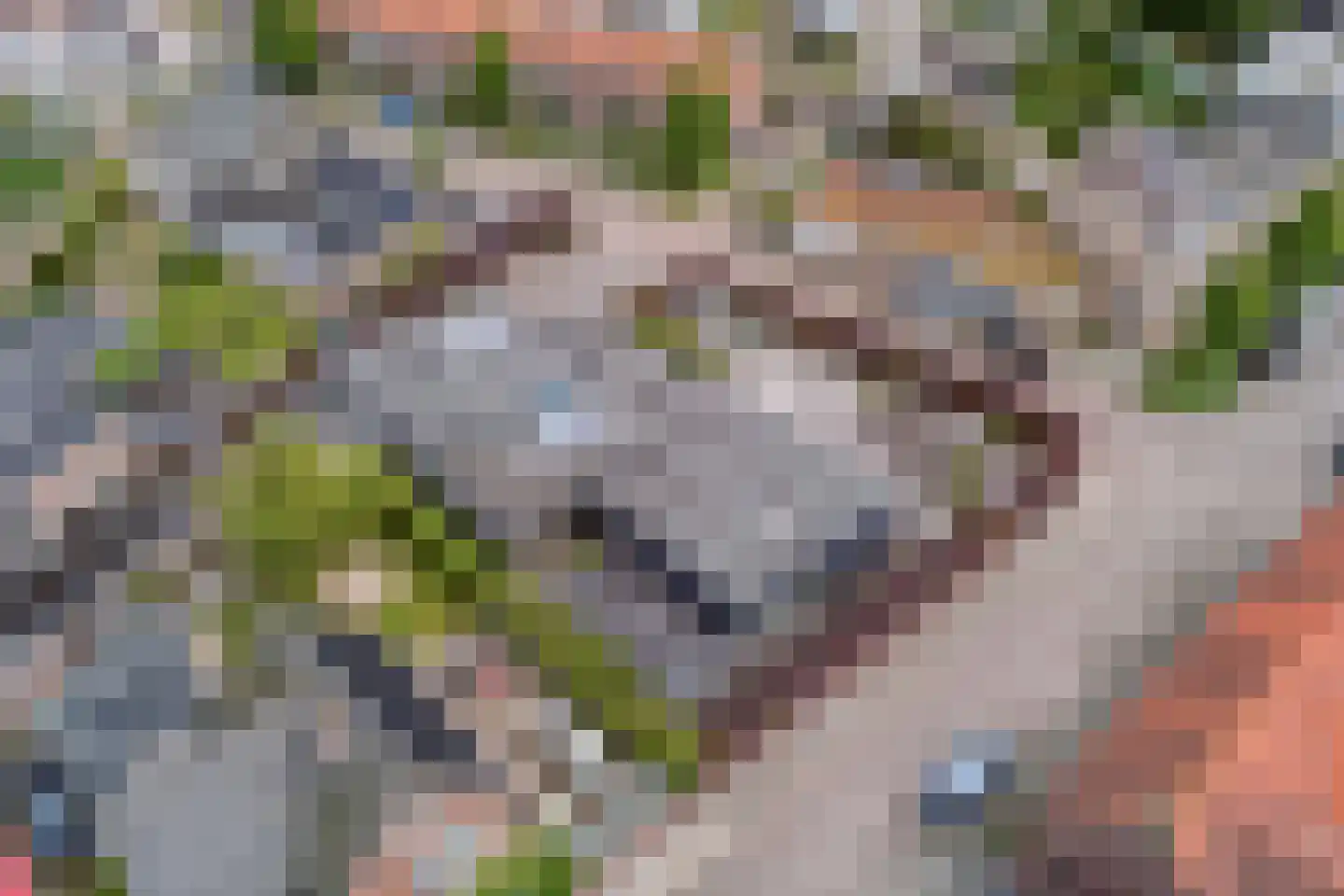 Kerkstraat 1 Grijpskerke thumbnail 72