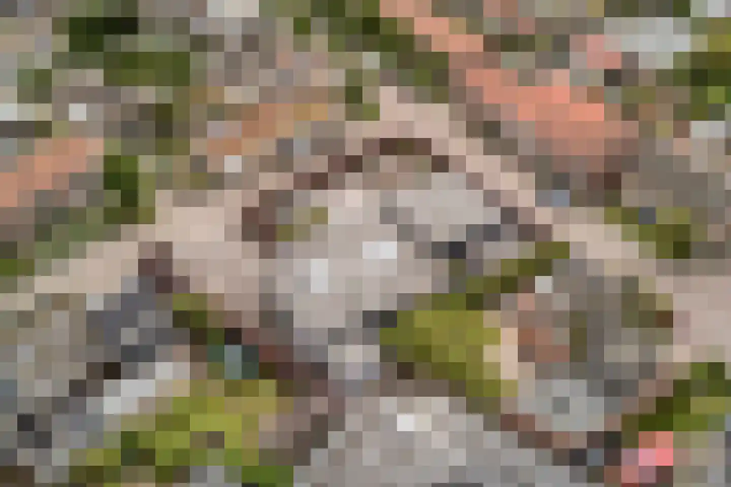 Kerkstraat 1 Grijpskerke thumbnail 72