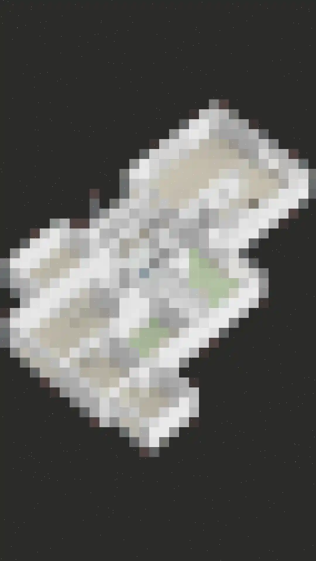 Kerkstraat 1 Grijpskerke thumbnail 80