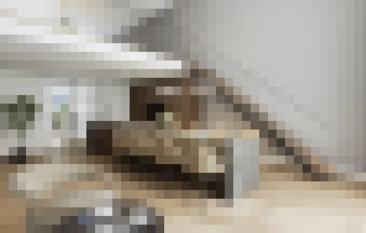 Kerkstraat 1 Luttelgeest thumbnail 7