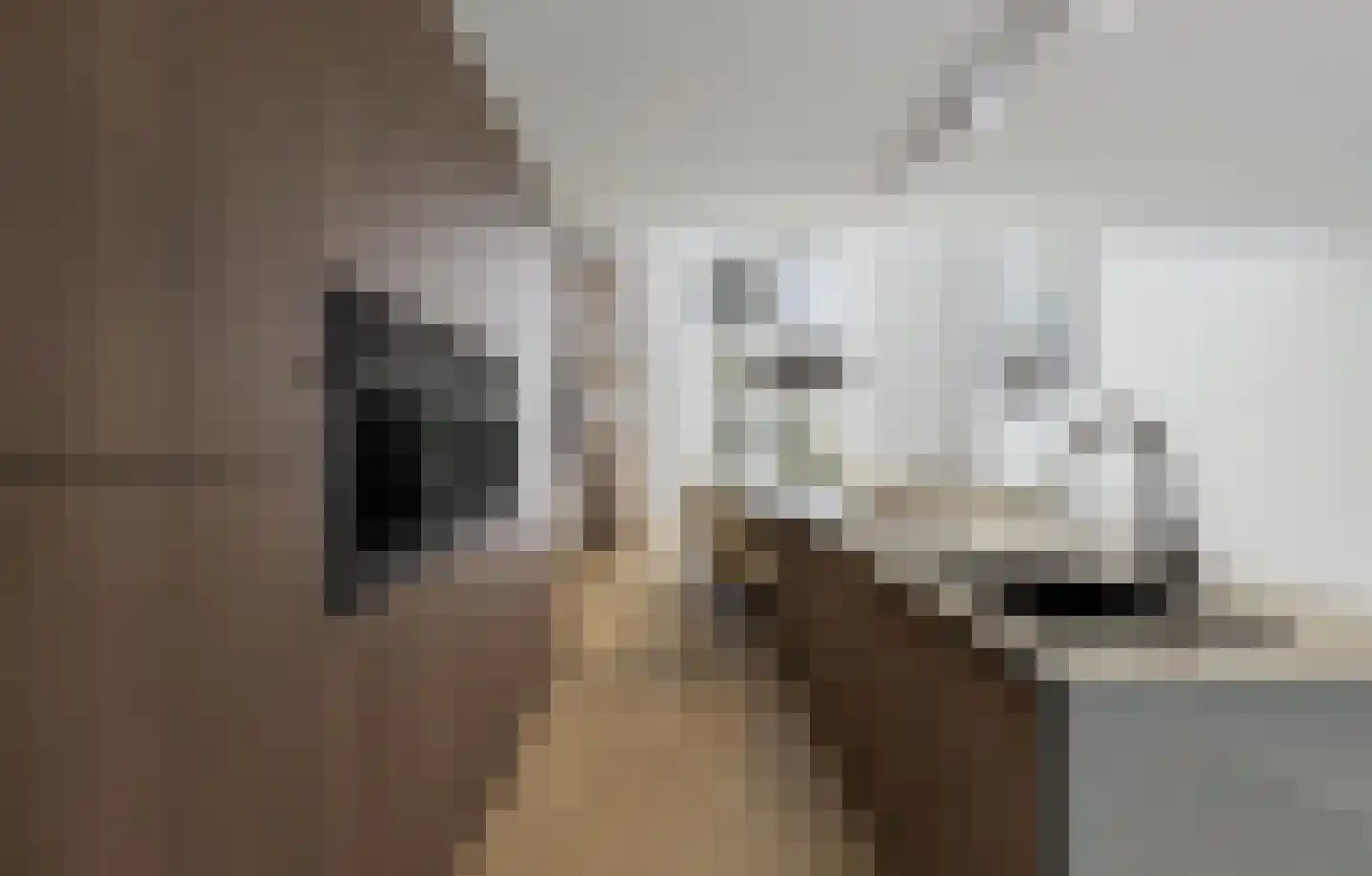 Kerkstraat 1 Luttelgeest thumbnail 8