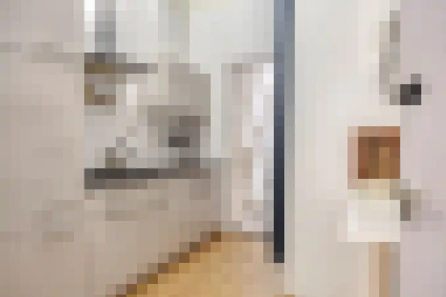 Kerkstraat 1 Renkum thumbnail 15