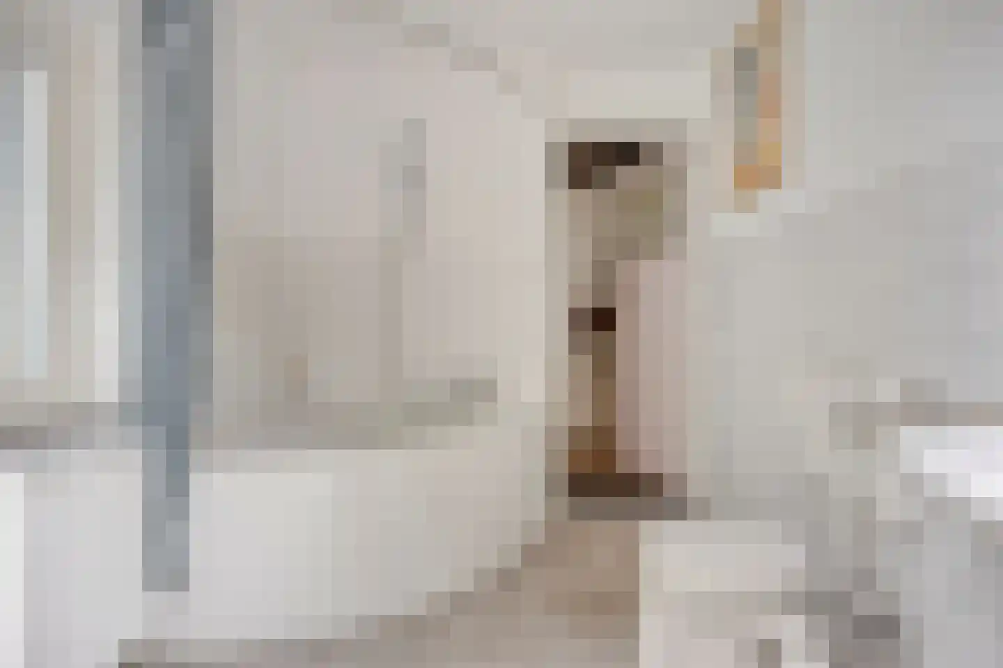 Kerkstraat 1 Renkum thumbnail 17