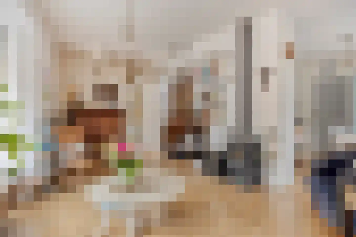 Kerkstraat 1 Renkum thumbnail 20