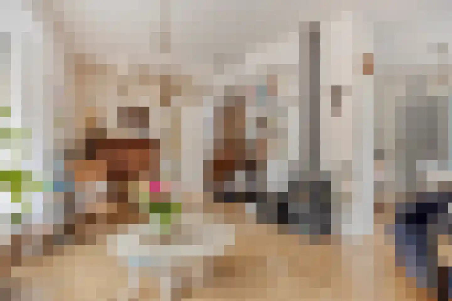 Kerkstraat 1 Renkum thumbnail 22