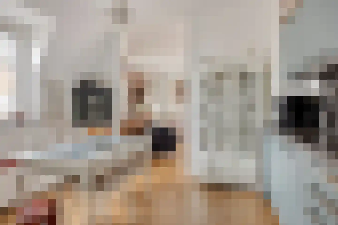 Kerkstraat 1 Renkum thumbnail 27