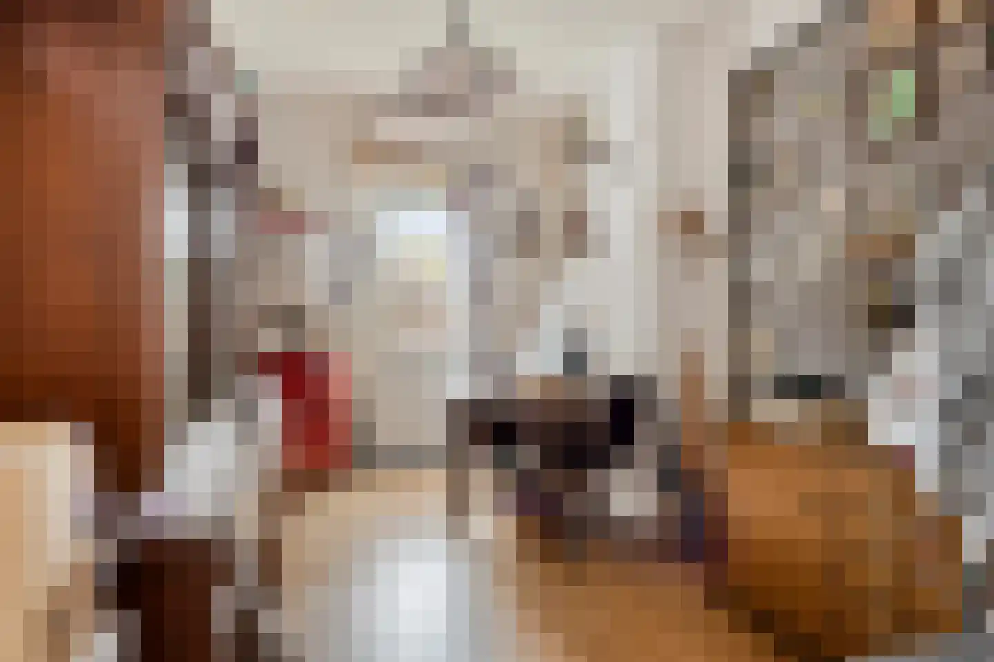 Kerkstraat 1 Renkum thumbnail 34