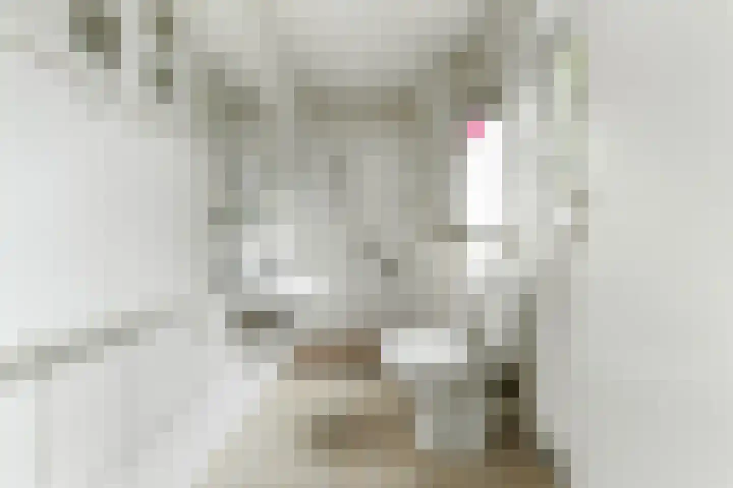 Kerkstraat 1 Spaubeek thumbnail 21