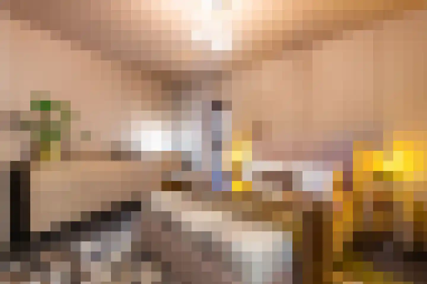 Kerkstraat 1 Vollenhove thumbnail 13