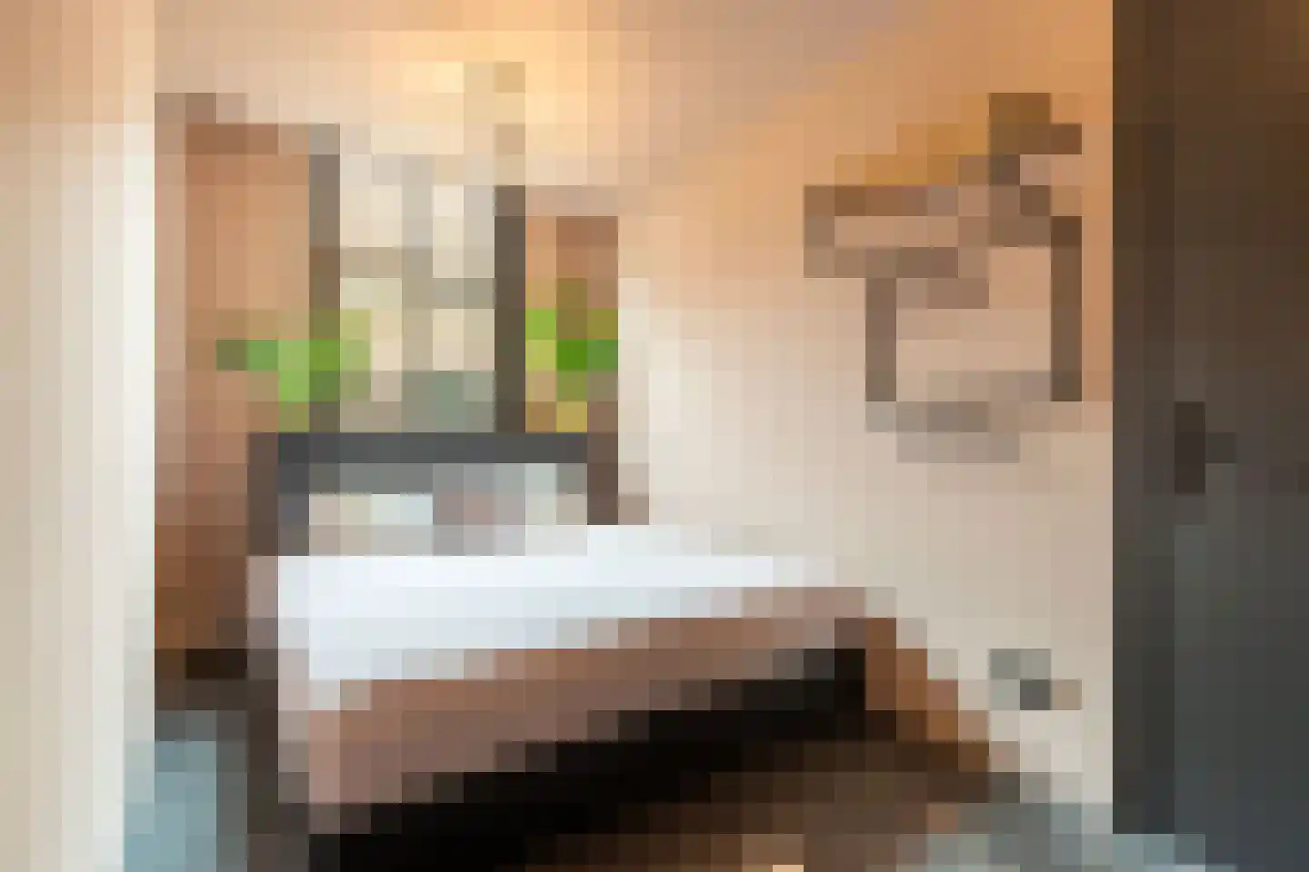 Kerkstraat 1 Vollenhove thumbnail 19
