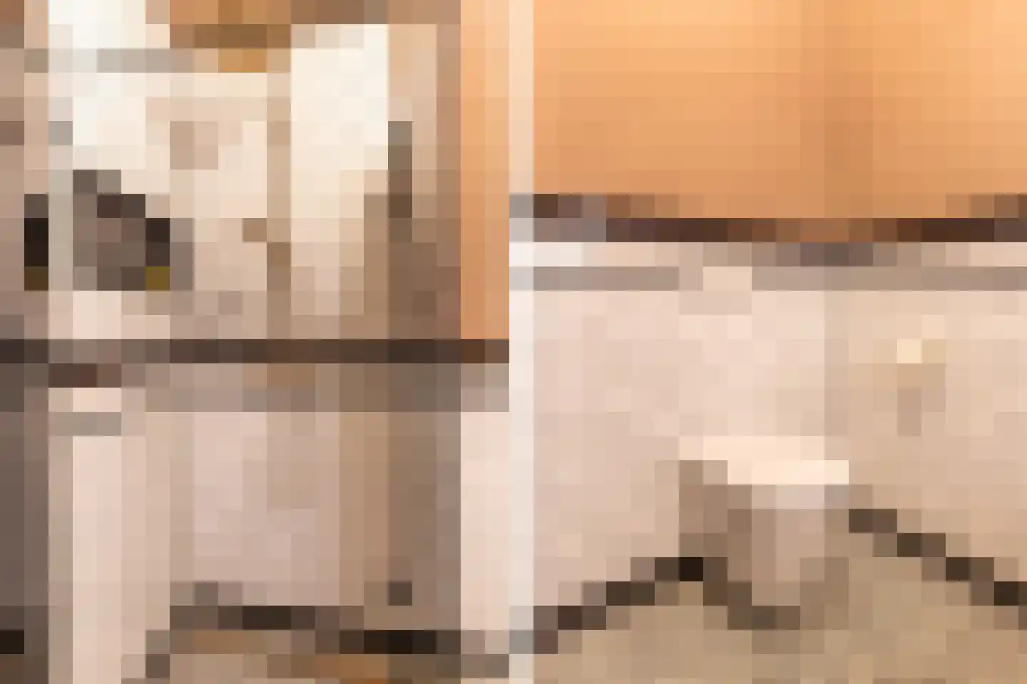 Kerkstraat 1 Vollenhove thumbnail 22