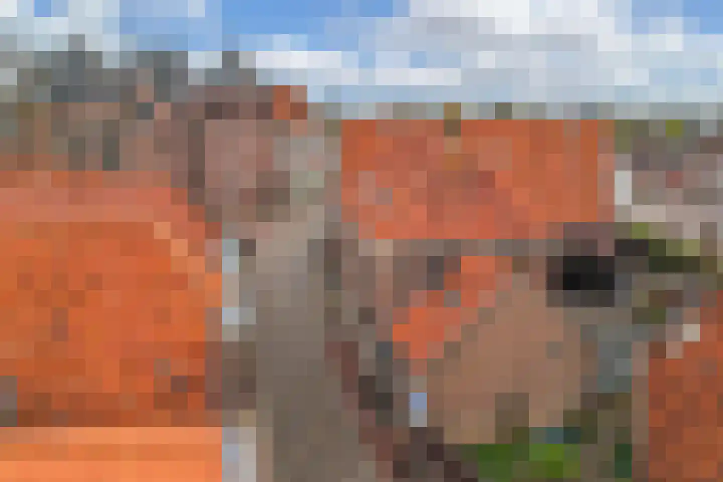 Kerkstraat 1 Vollenhove thumbnail 29